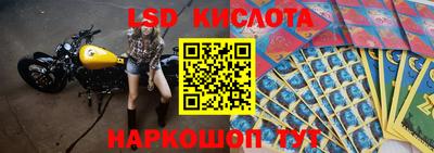 ГАЛЛЮЦИНОГЕННЫЕ ГРИБЫ Заволжье