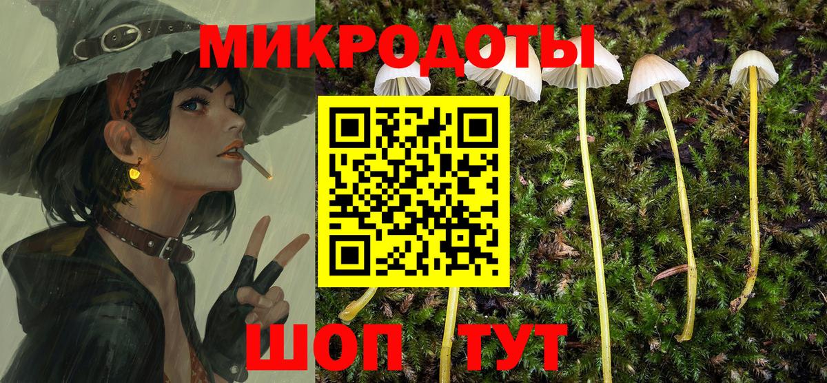 Шелехов  Псилоцибиновые грибы мицелий  Вход с VPN 